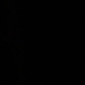 Meet your Posher, Hamza